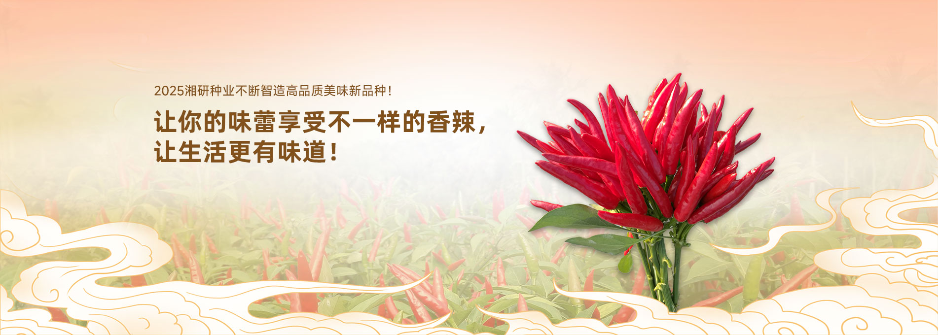 分布式光伏電站案例